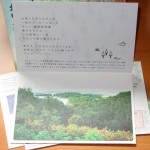 Naruto's Forest post card