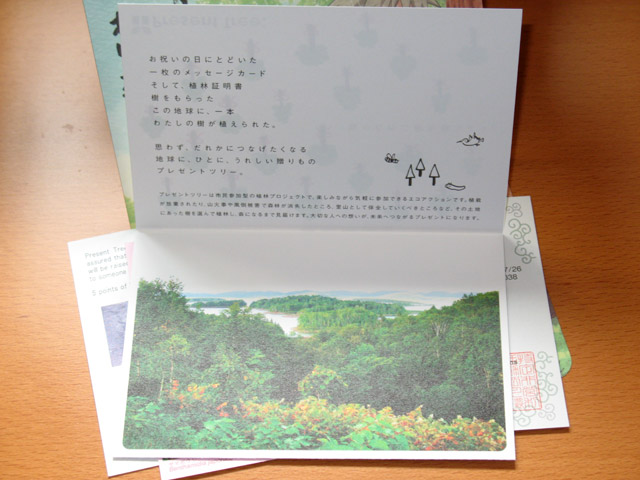 Naruto's Forest post card
