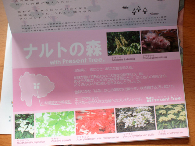 Naruto's Forest flora guide