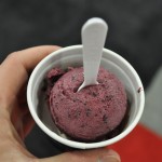 Blueberry sorbet