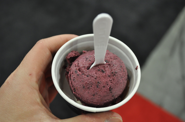 Blueberry sorbet