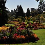 Stanley Park Rose Garden