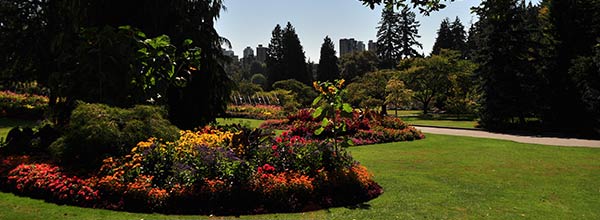 Stanley Park Rose Garden