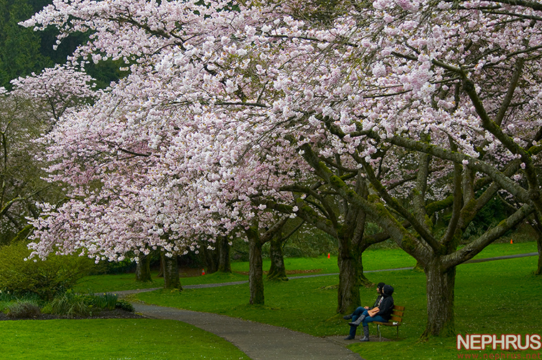 Under a tree
