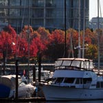 Boats moored at George Wainborn Park