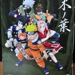 Ninja Academy Naruto back