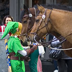 Link and horses