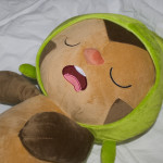 Sleeping Chespin