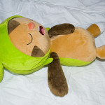 Sleeping Chespin's side