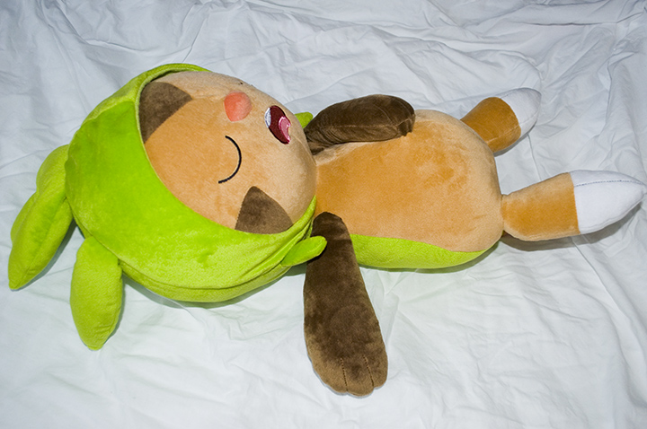 Sleeping Chespin's side
