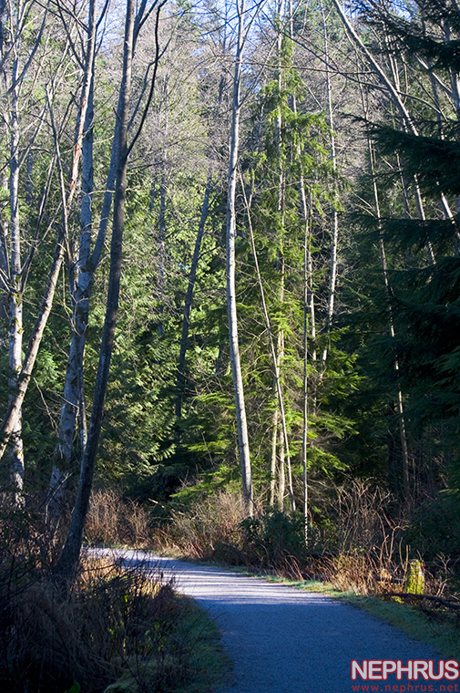 Beaver Lake Trail