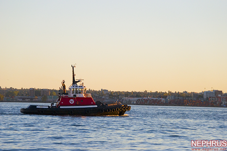 Seaspan Falcon