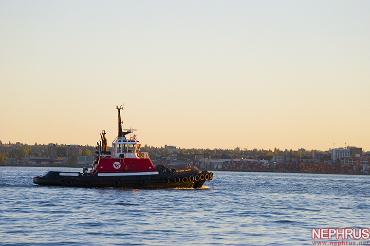 Seaspan Falcon