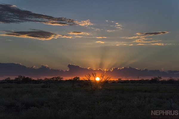 Texas Sunset