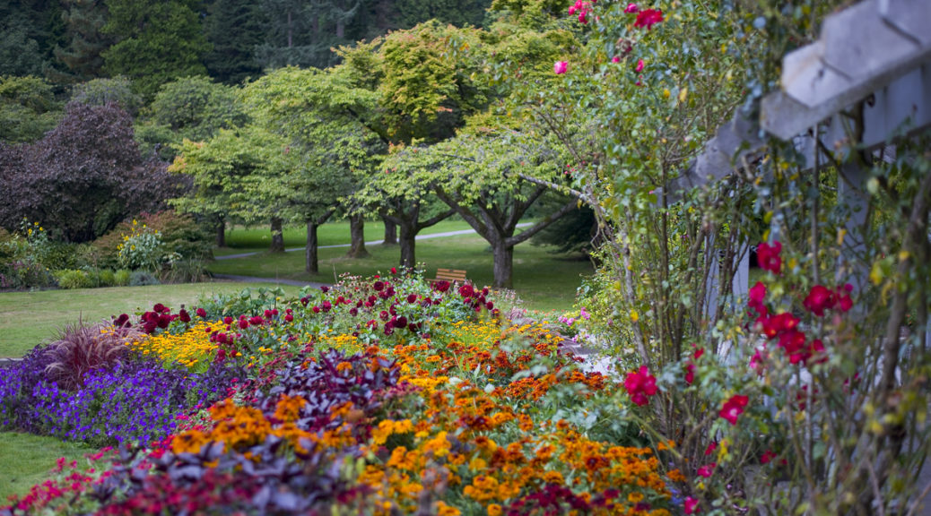 Stanley Park - Rose Garden