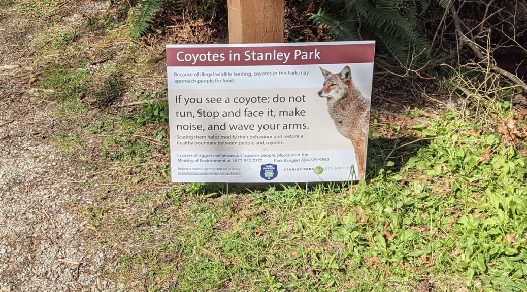 Stanley Park coyote warning