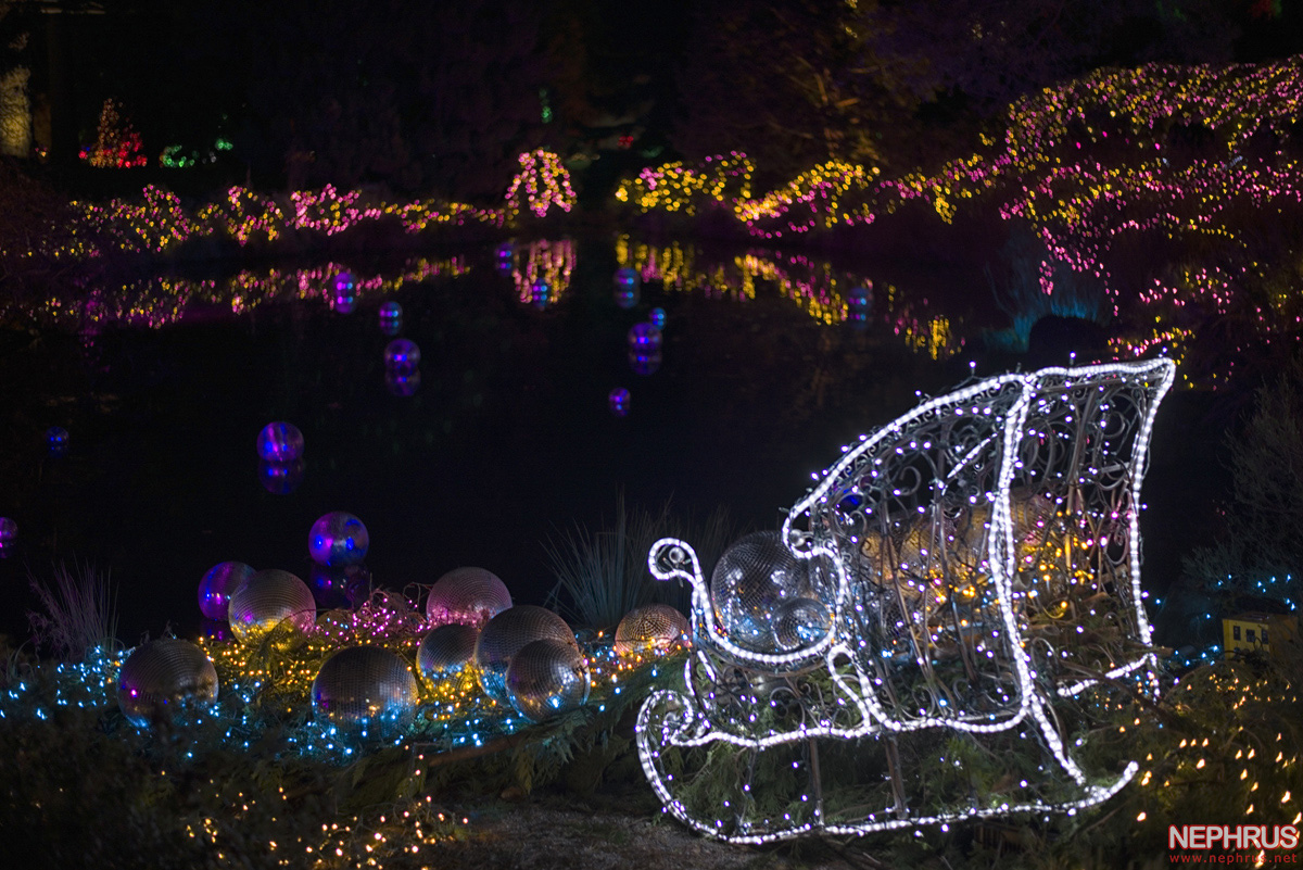 Festival of Lights 2021