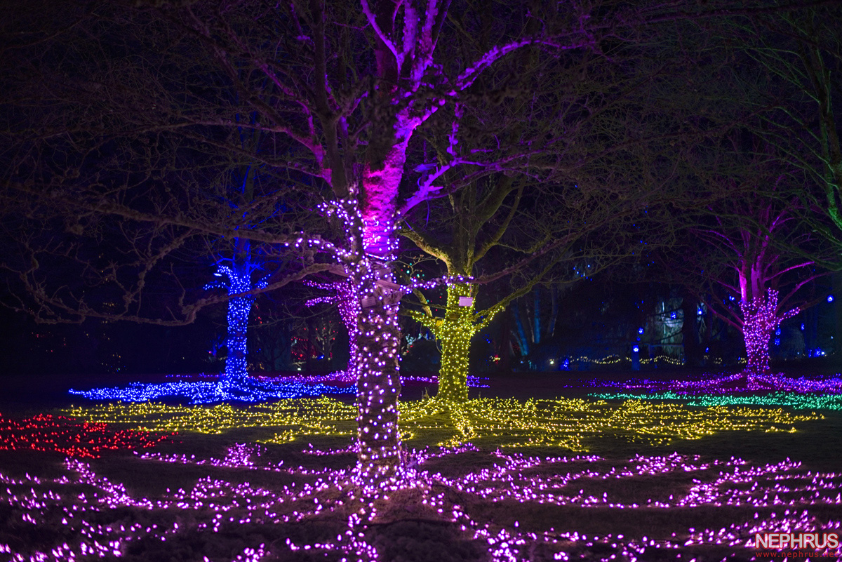 Festival of Lights 2021
