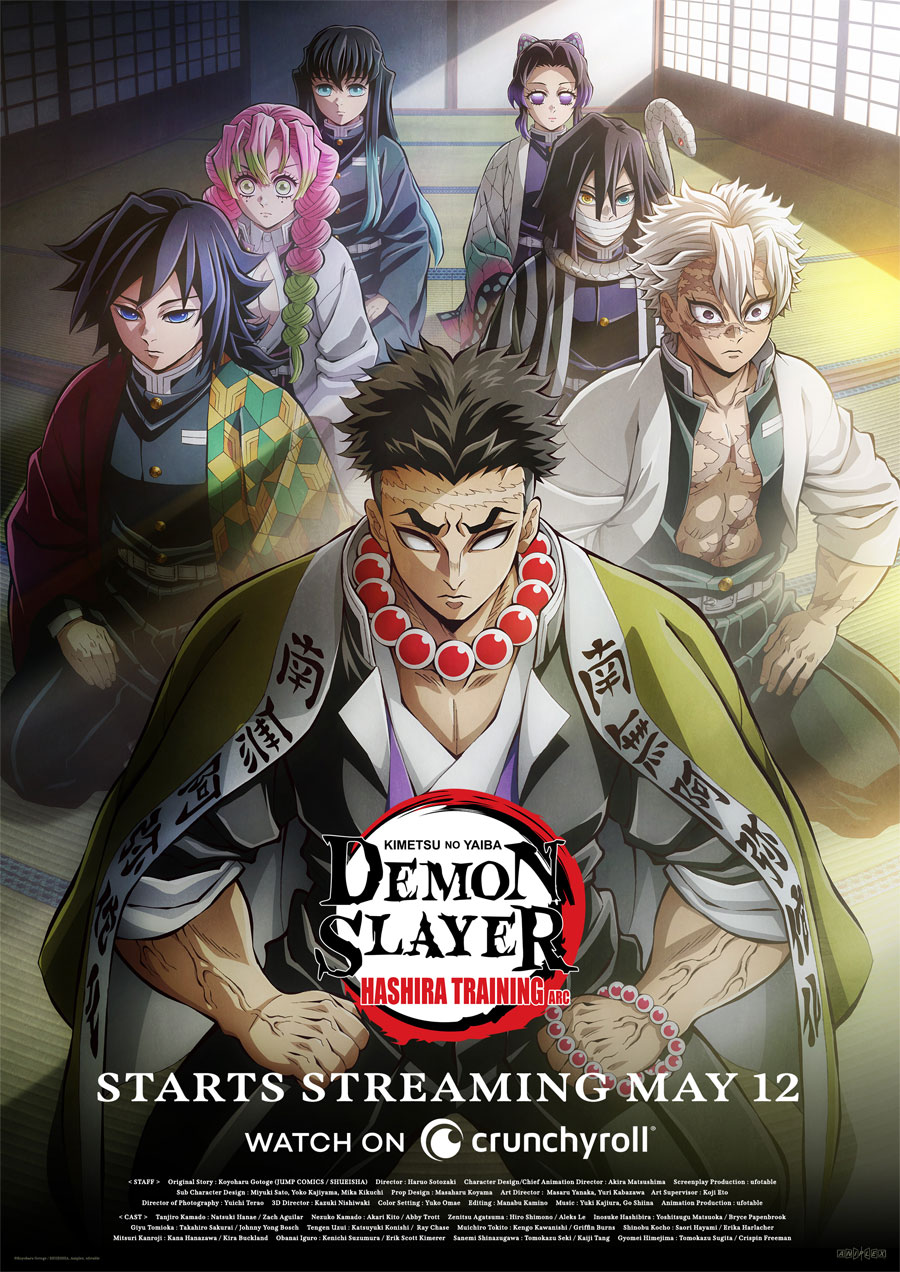 Demon Slayer: Kimetsu no Yaiba - Hashira Training arc