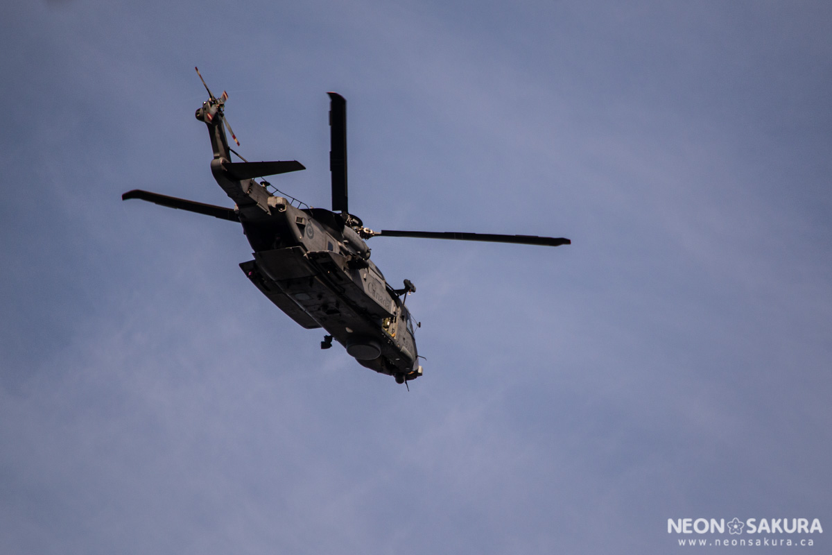 Remembrance Day 2025