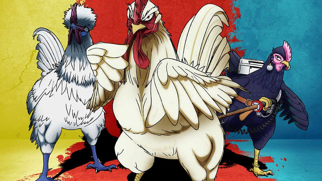 Rooster Fighter